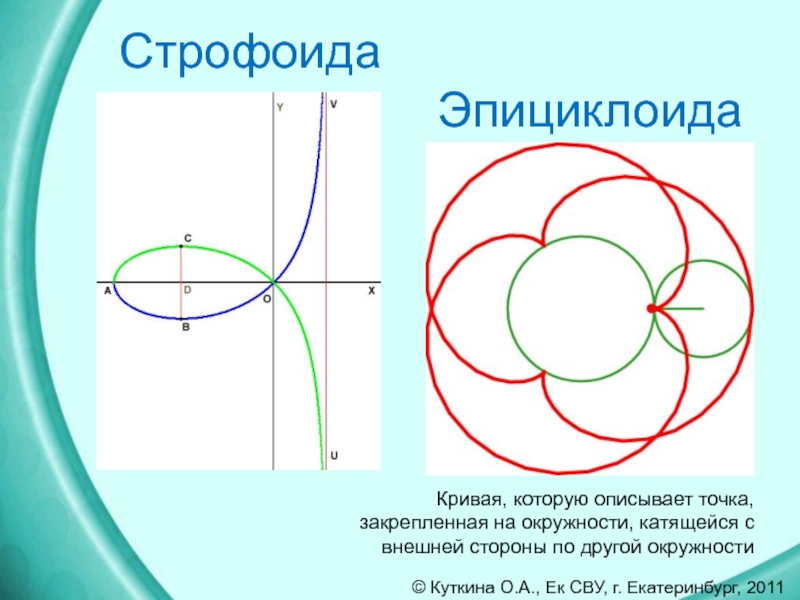 Замечательные кривые презентация