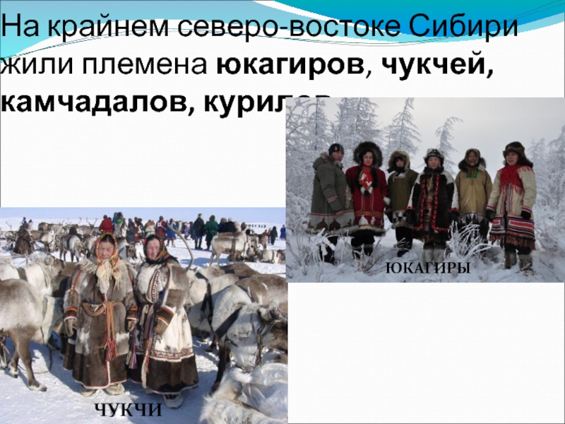 На крайнем северо-востоке Сибири жили племена юкагиров, чукчей, камчадалов, курилов.ЧУКЧИЮКАГИРЫ