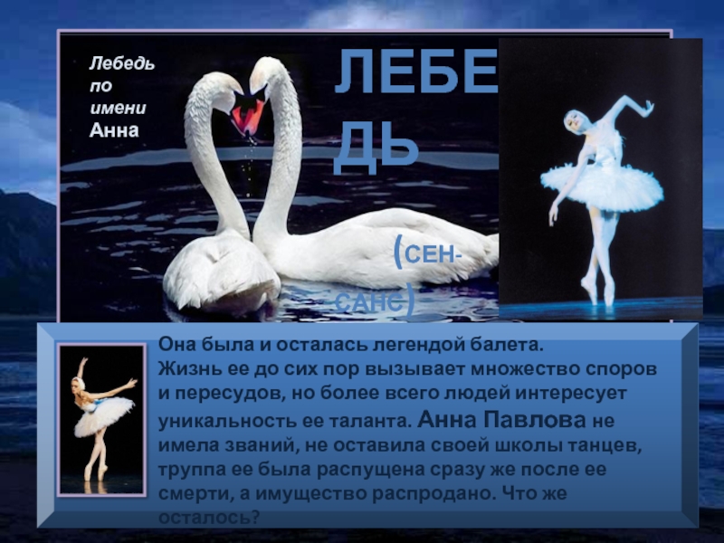 Лебедь    (Сен-Санс)Лебедь по имени АннаОна была и осталась легендой балета. Жизнь ее до сих