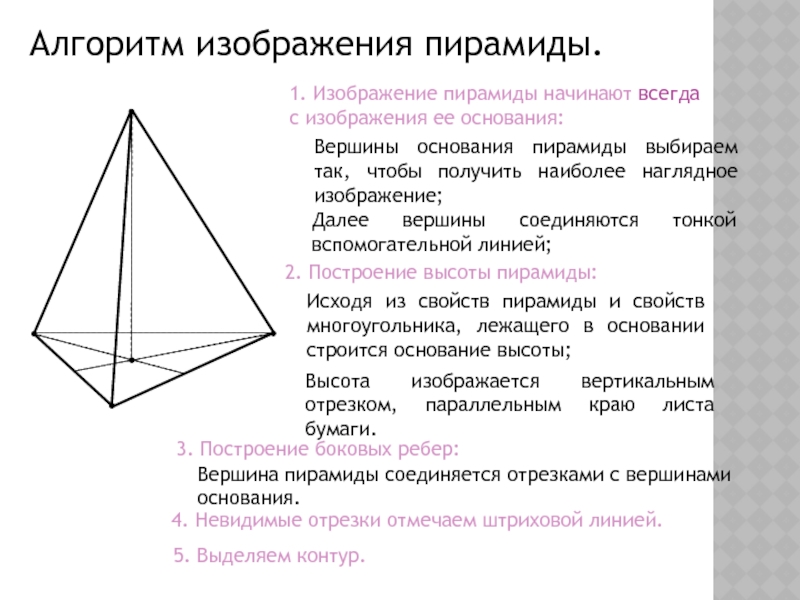 Основание пирамиды. Вершина основания пирамиды. Наглядное изображение пирамиды. Число вершин у основания пирамиды. Алгоритм построения пирамиды.