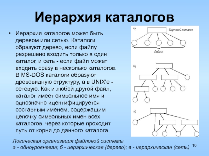 Путь корень. Иерархия каталогов. Иерархия дерево в каталогов. Иерархический каталог. . Каталог. Иерархия каталогов (дерево, сеть).