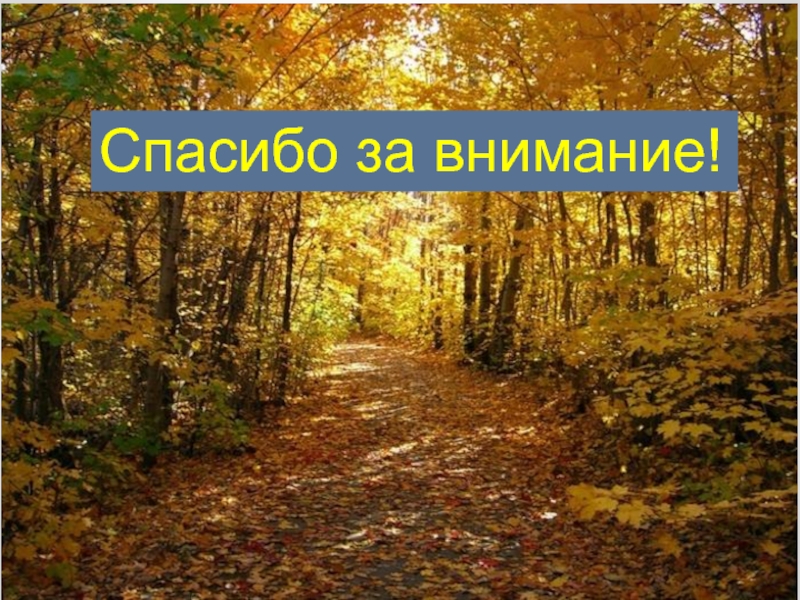 Осень молодцы. Спасибо за внимание осенняя. Спасибо за внимание осень. Благодарю за внимание осень. Спасибо за внимание с осенью.