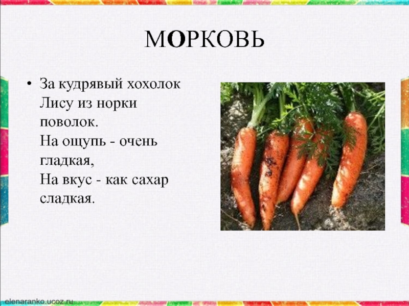 Корень в слове морковь