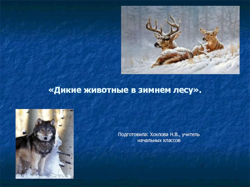 Презентация Дикие животные в зимнем лесу