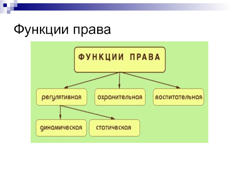 Функции права картинки