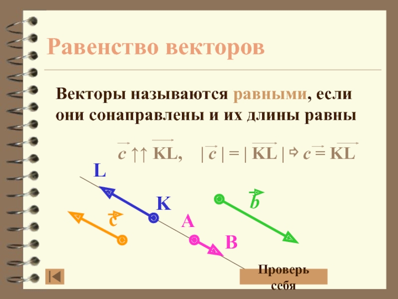 Вектора 9. Векторы сонаправлены. Равенство векторов. Векторное равенство. Векторы сонаправлены если.