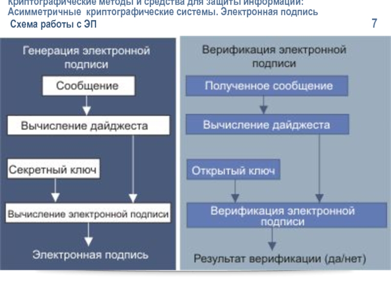 Какие алгоритмы асимметричной криптографии могут использоваться в схеме электронной подписи