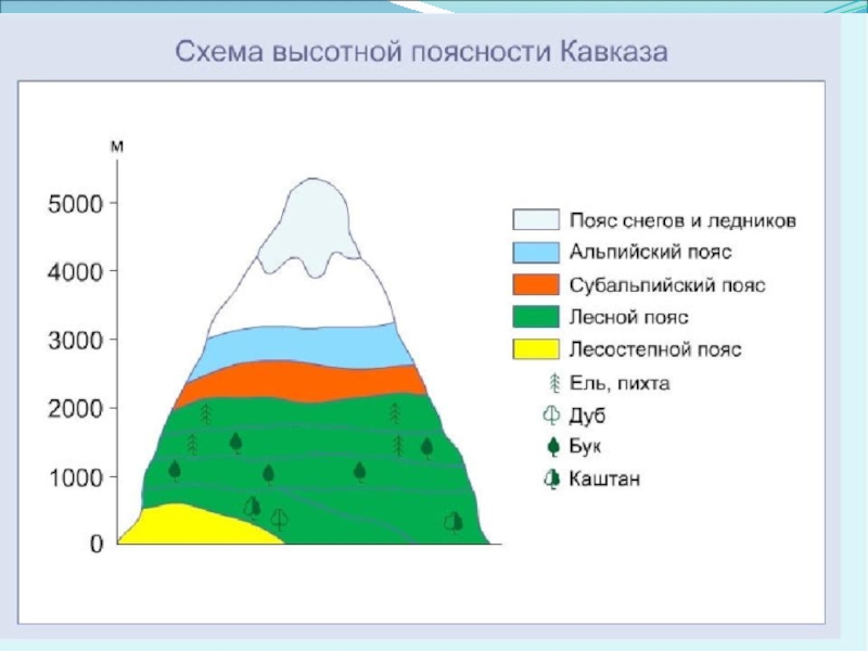 Схема уральских гор высотная поясность