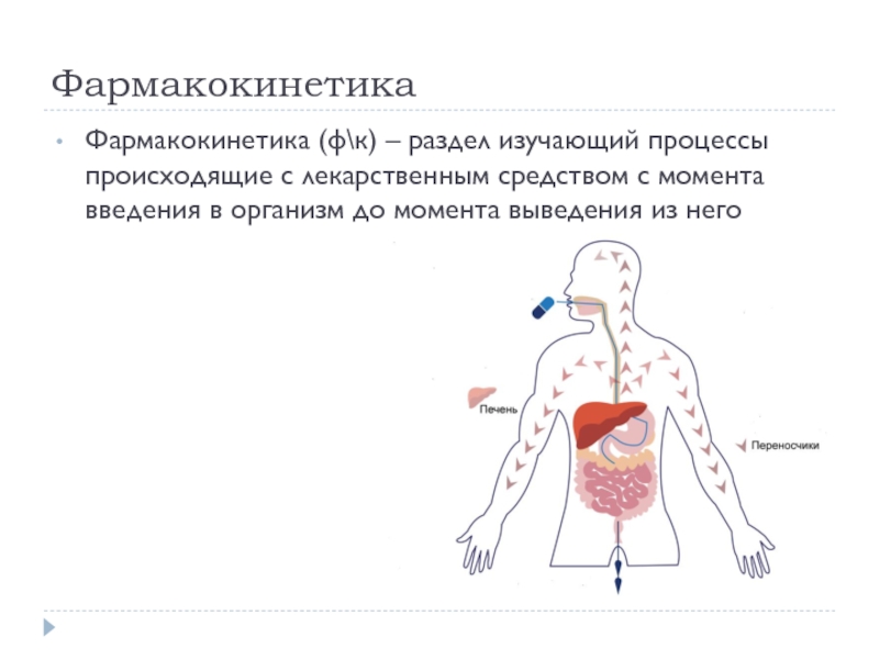 Фармакокинетика и фармакодинамика презентация