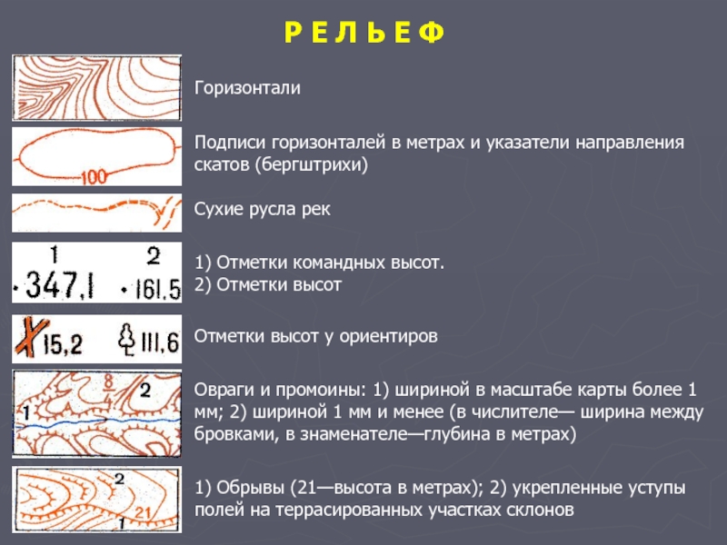 Как подписывать горизонтали на топографическом плане