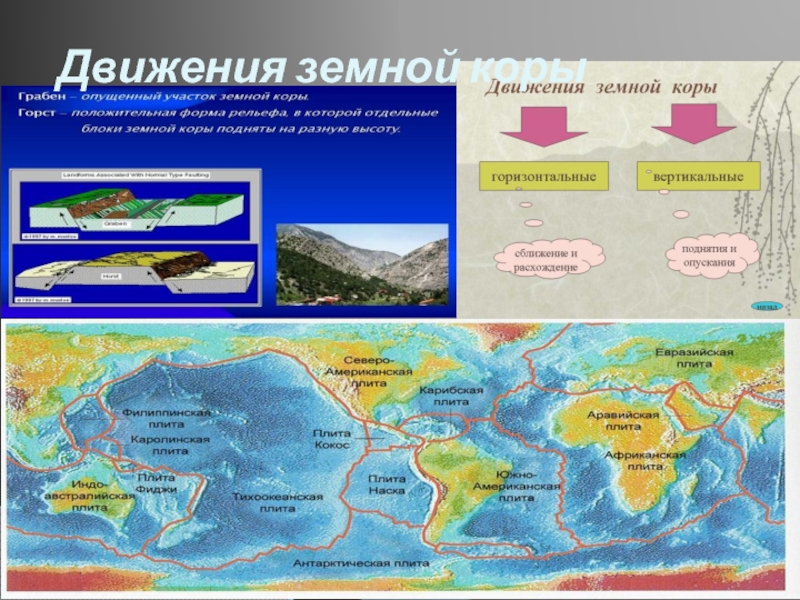 Какие движения свойственны земной коре