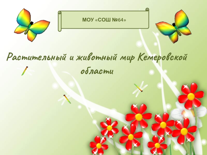 Презентация Растительный и животный мир Кемеровской области