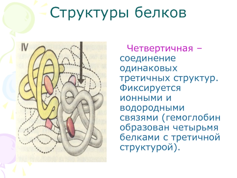 Отметь рисунок на котором представлена четвертичная структура белка