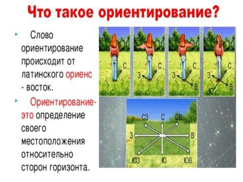 Синоним к слову ориентироваться. Стороны горизонта. Стороны горизонта 1 класс. Текст на ориентирование баннер. Определение слова ориентир география 5 класс.