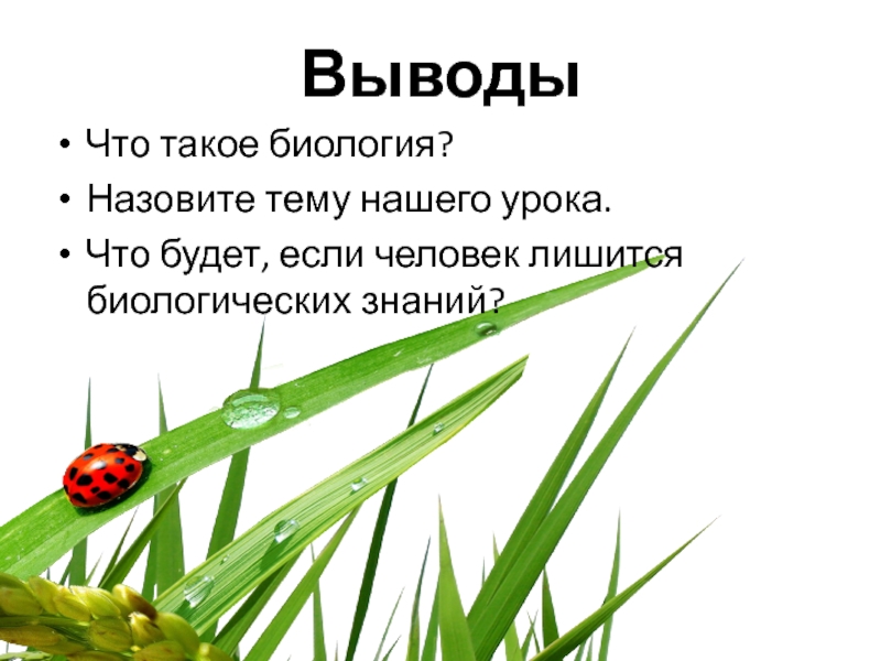 Что такое биология 5 класс. Биология. Урок биологии. Биология вывод. Жизнь это в биологии.