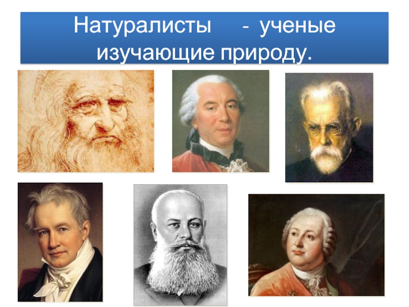 Ученый изучающий природу. Ученый натуралист. Ученые изучают природу. Портреты ученых натуралистов. Ученые на природе.