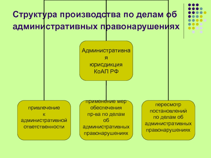 Стадии административного производства презентация