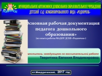 Рабочая документация педагога ДОУ