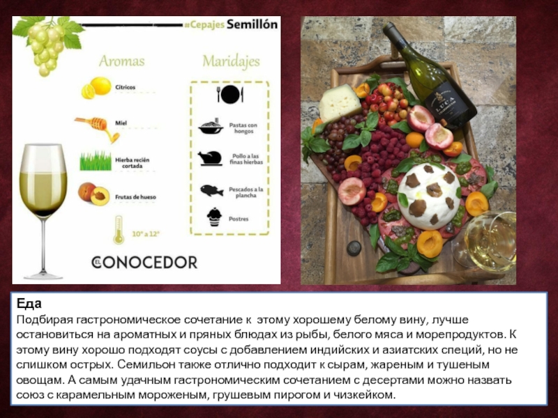 Какие вина подойдут к рыбе. Сочетание вина и еды. Гастрономические сочетания. Сорта винограда вин и сочетание с блюдами. Сочетание сыра и вина.
