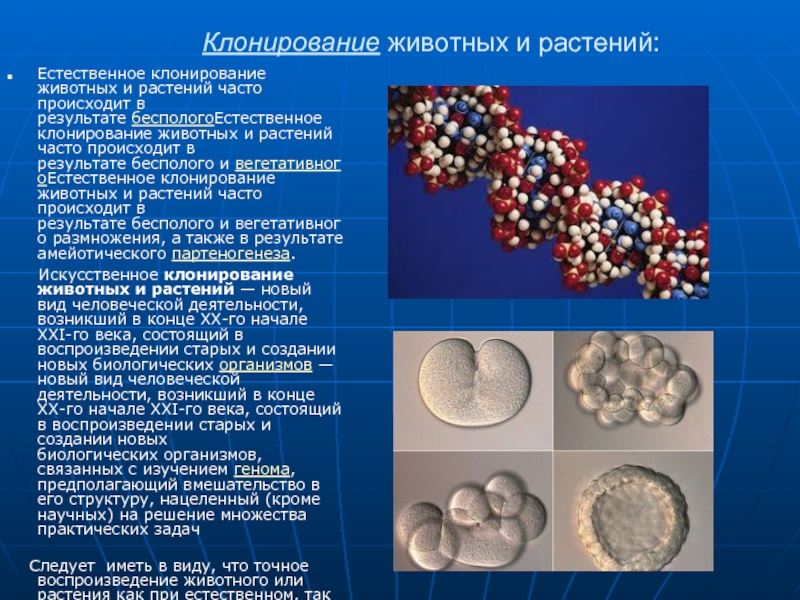 Клонирование растений презентация