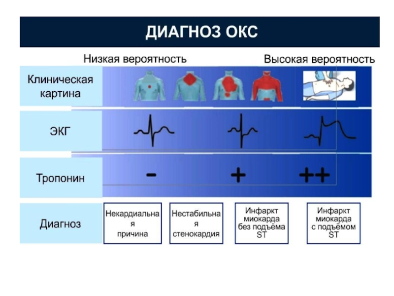 Окс картинки для презентации