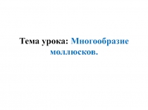 Многообразие моллюсков