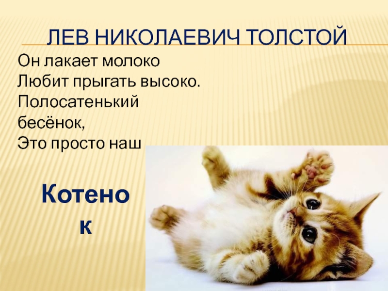 Котенок лакает молоко схема предложения