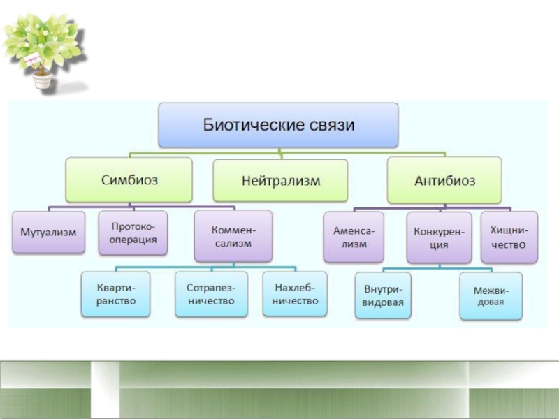 Презентация 9 класс биология биотические связи в природе