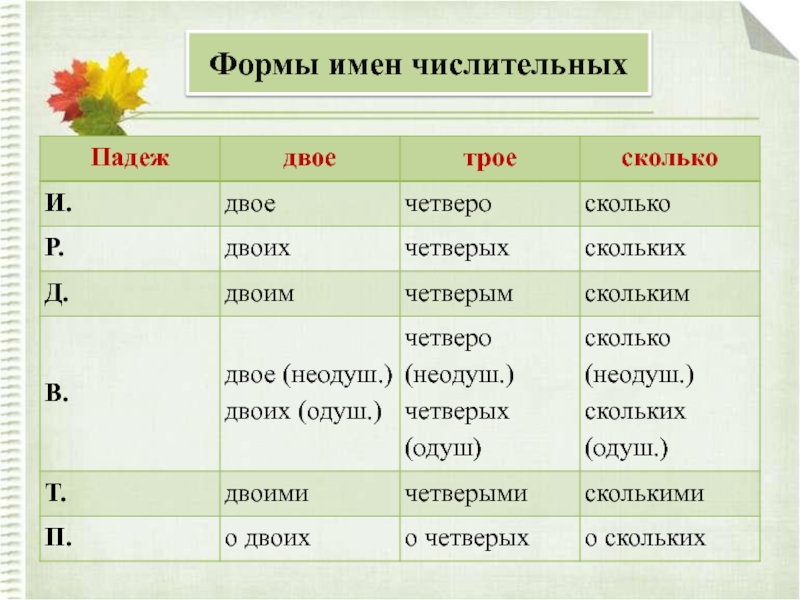 Какая форма имени. Виды имен числительных. Форма имени. Формы им. Какую форму имени это.