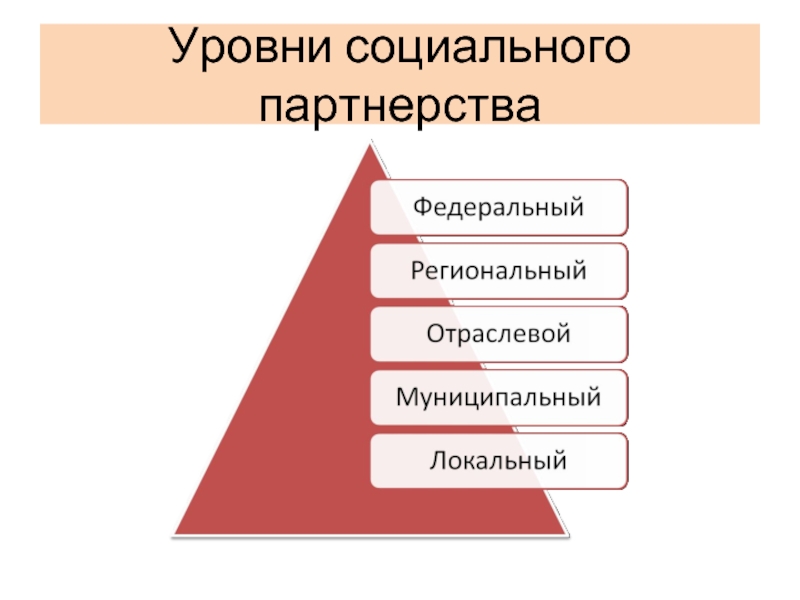 Схема органы социального партнерства