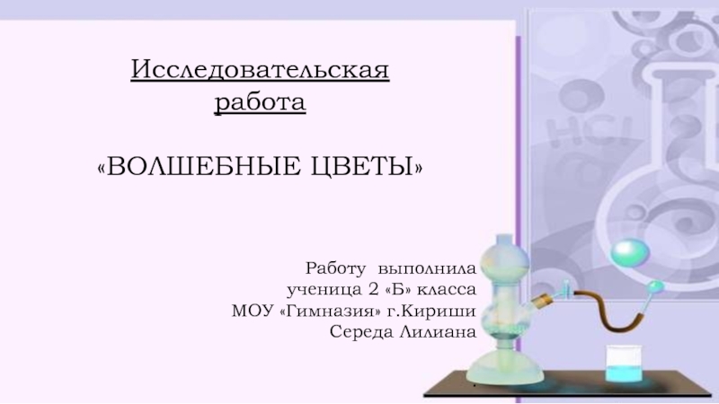 Презентация Исследовательская
работа
ВОЛШЕБНЫЕ ЦВЕТЫ
Работу выполнила
у ченица 2 Б