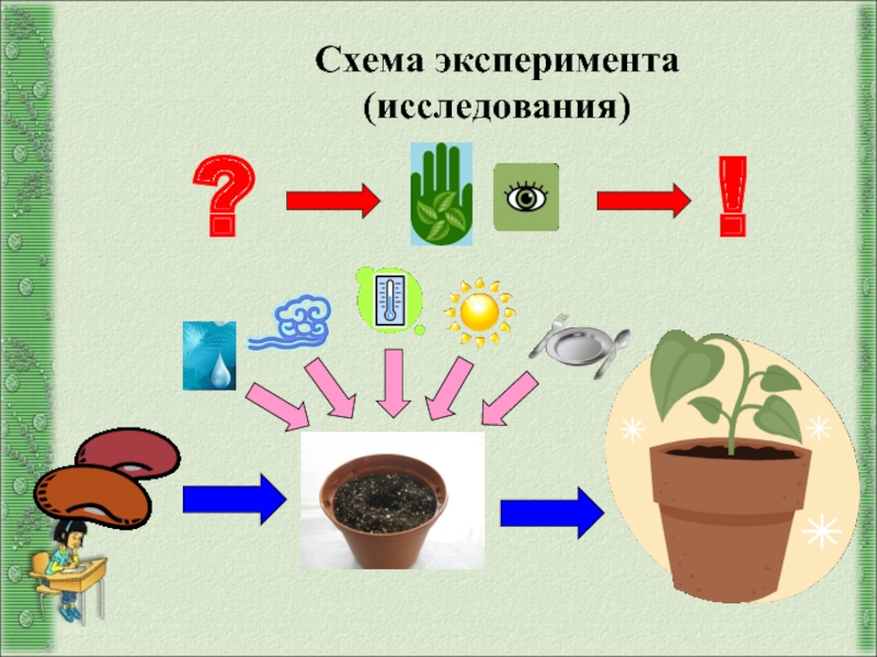 Что такое схема эксперимента