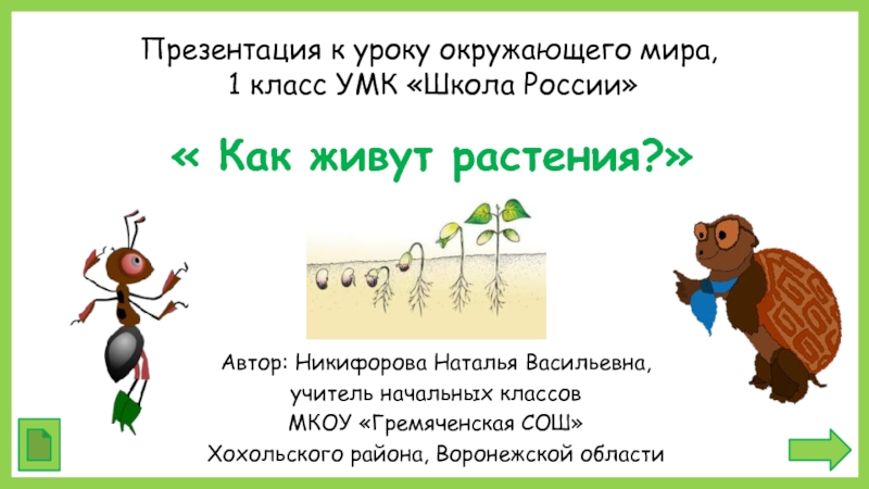 Презентация Как живут растения? 1 класс УМК Школа России