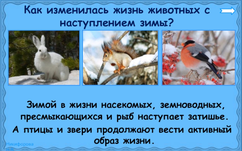 Изменения в жизни животных летом таблица. Жизнь животных зимой. Зимняя жизнь птиц и зверей. Как изменилась жизнь животных зимой. Изменения в жизни животных зимой.
