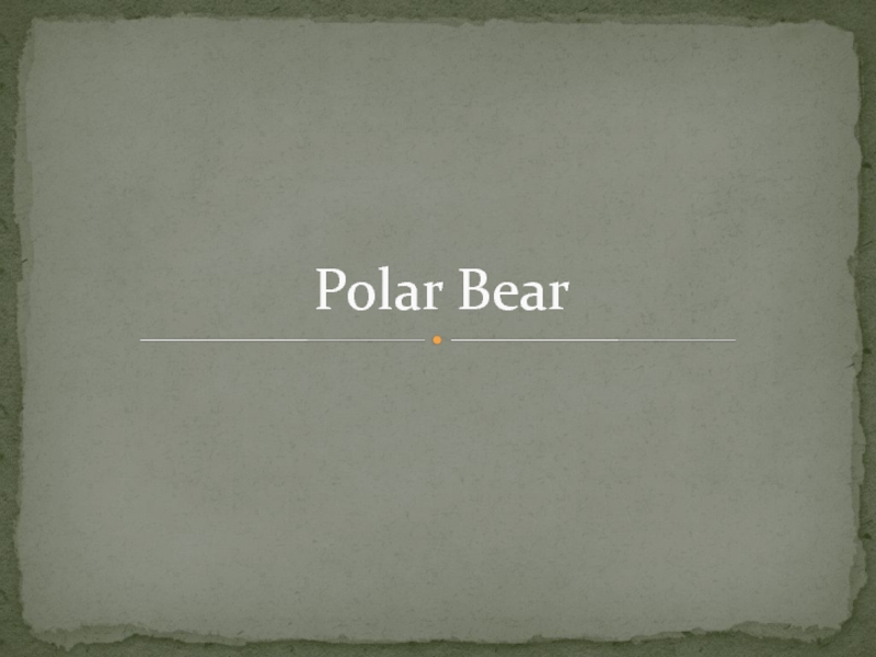 Презентация Полярный медведь