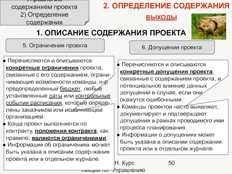 Что такое допущения проекта