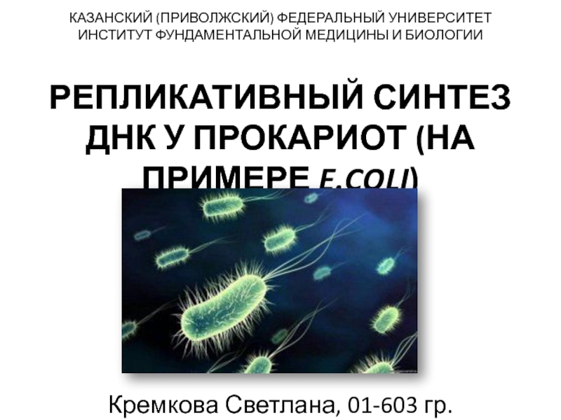 Презентация РЕПЛИКАТИВНЫЙ СИНТЕЗ ДНК У ПРОКАРИОТ (НА ПРИМЕРЕ E.COLI )