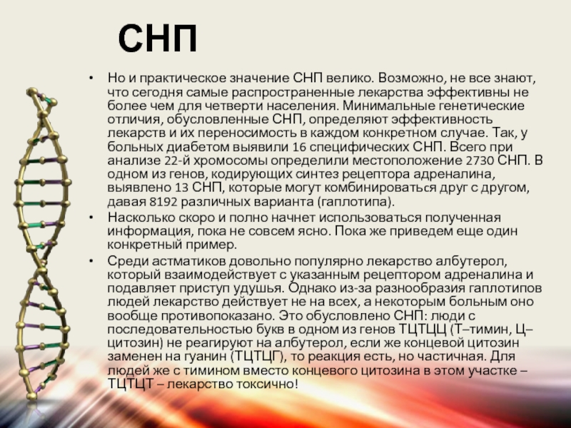 Геном человека содержит. SNP генетика. Сравнение геномов человека и. СНП. Разнообразие SNP (СНИПЫ).