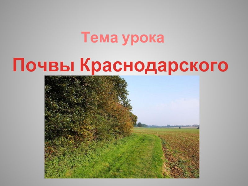 Почвы краснодарского. Почвы Краснодарского края. Почвыкраснодаркого края. Горно-Лесные почвы Краснодарского края. Типы почв Краснодарского края.