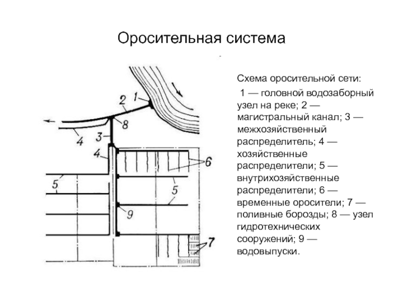 Транспортно технологические схемы водного транспорта леса