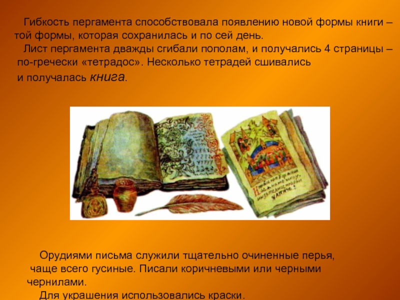 Форму про книги. Книга форм. Кодекс форма книги. Книги из пергамента. Форма книги из пергамента.
