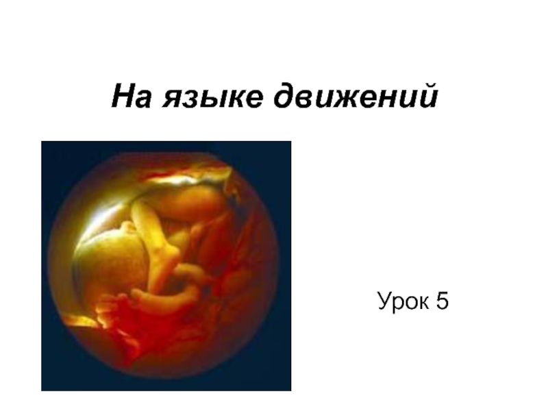 Развитие эмбриона