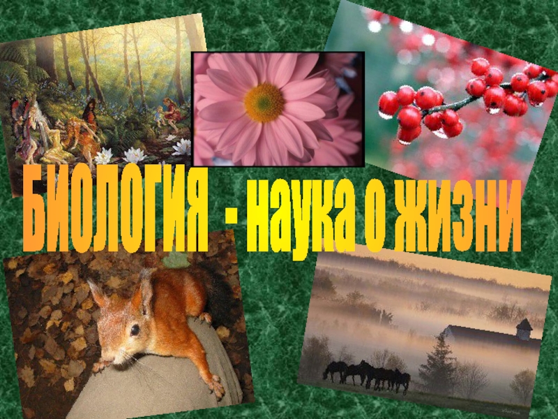 БИОЛОГИЯ - наука о жизни