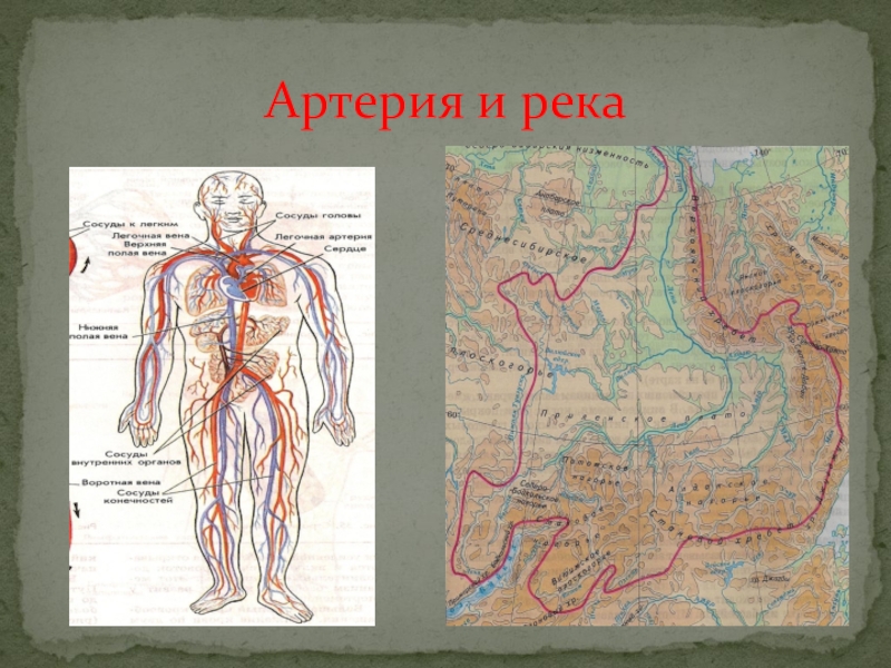 Артерии земли. Реки артерии земли. Водные артерии земли. Речные артерии это. Реки артерии земли конспект.