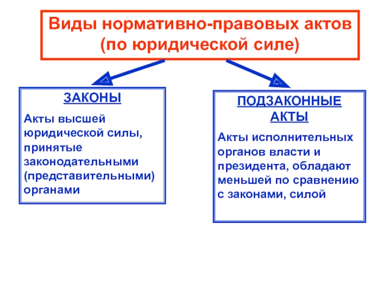 Виды подзаконных нормативных актов