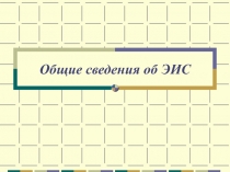 ЭИС