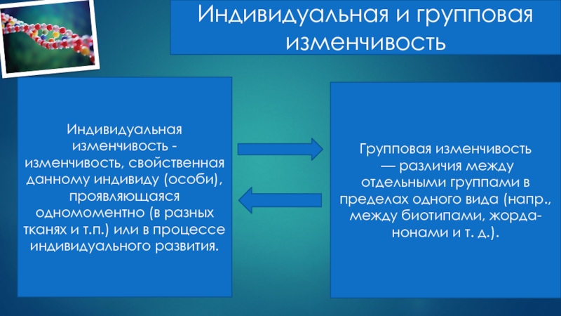 Индивидуальная изменчивость. Групповая изменчивость. Различие индивидуальной и групповой изменчивости. Определенная групповая изменчивость это.