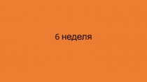 6 неделя