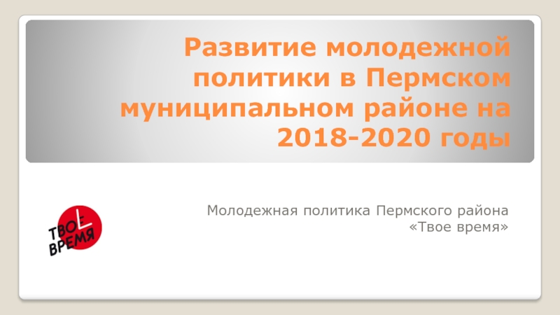 Развитие м олодежной политики в Пермском муниципальном районе на 2018-2020 годы