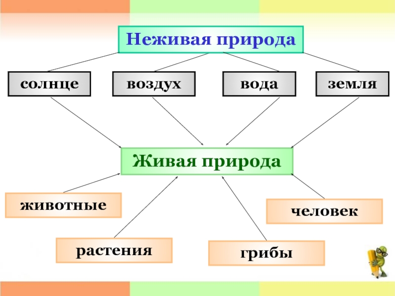 Схематическое изображение живой и неживой почвы